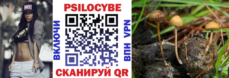 Псилоцибиновые грибы Magic Shrooms  где можно купить наркотик  Горячий Ключ 